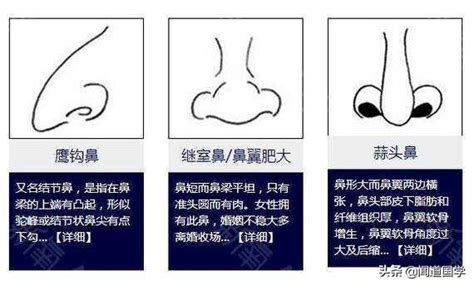 鼻子大 面相|面相入门